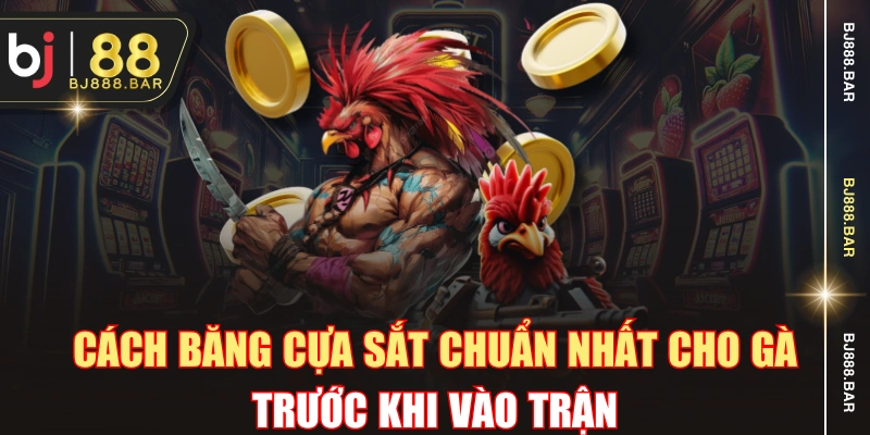 Cách Băng Cựa Sắt Chuẩn Nhất Cho Gà Trước Khi Vào Trận