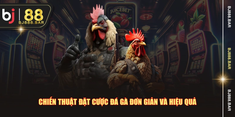 Chiến thuật đặt cược đá gà đơn giản và hiệu quả