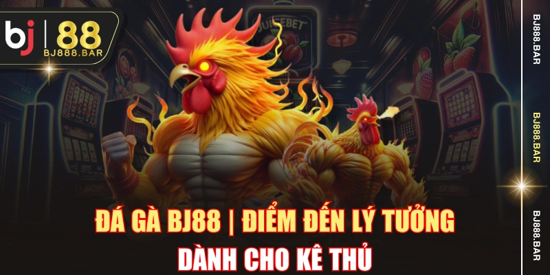 Đá Gà BJ88 | Điểm Đến Lý Tưởng Dành Cho Kê Thủ
