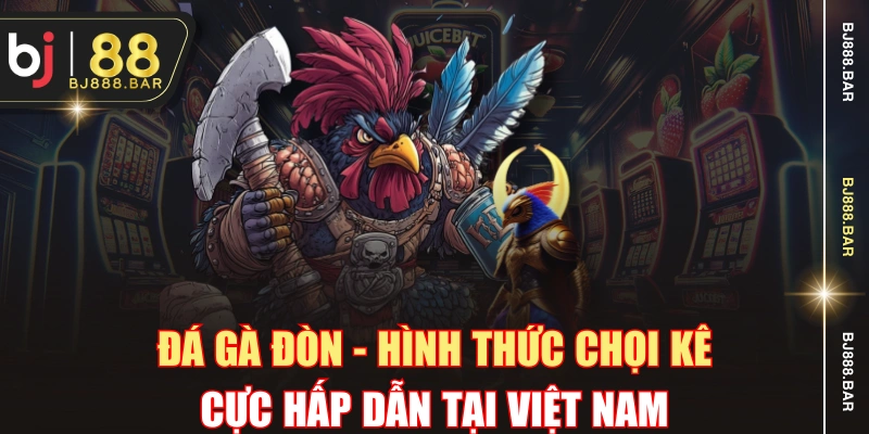 Đá Gà Đòn - Hình Thức Chọi Kê Cực Hấp Dẫn Tại Việt Nam