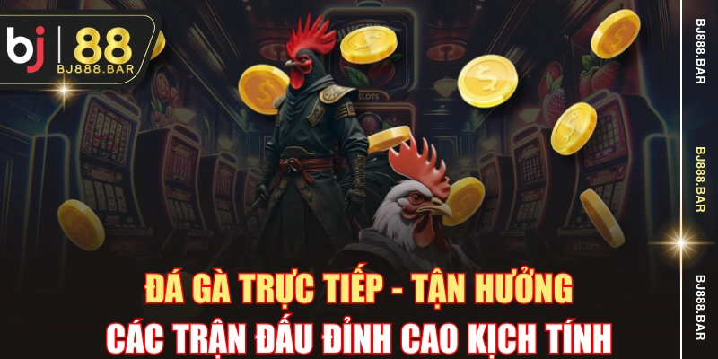 Đá Gà Trực Tiếp - Tận Hưởng Các Trận Đấu Đỉnh Cao Kịch Tính