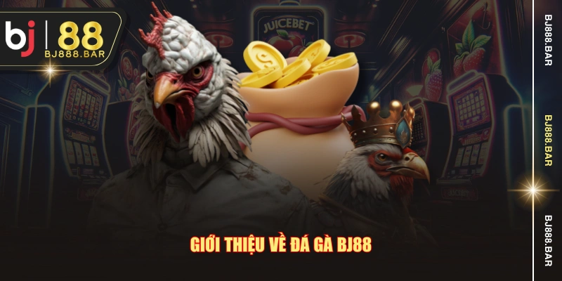 Giới thiệu về đá gà BJ88