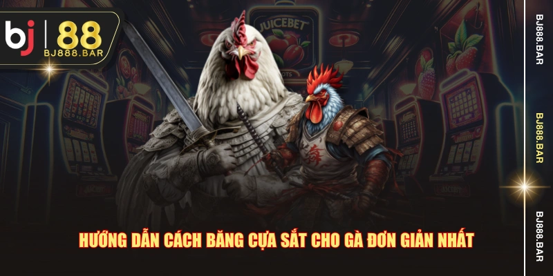 Hướng dẫn cách băng cựa sắt cho gà đơn giản nhất