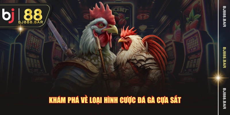 Khám phá về loại hình cược đá gà cựa sắt