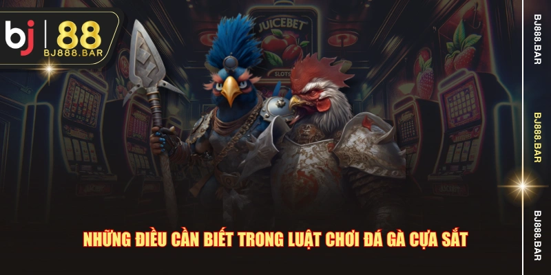 Những điều cần biết trong luật chơi đá gà cựa sắt