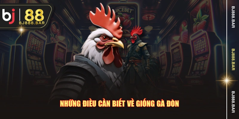 Những điều cần biết về giống gà đòn