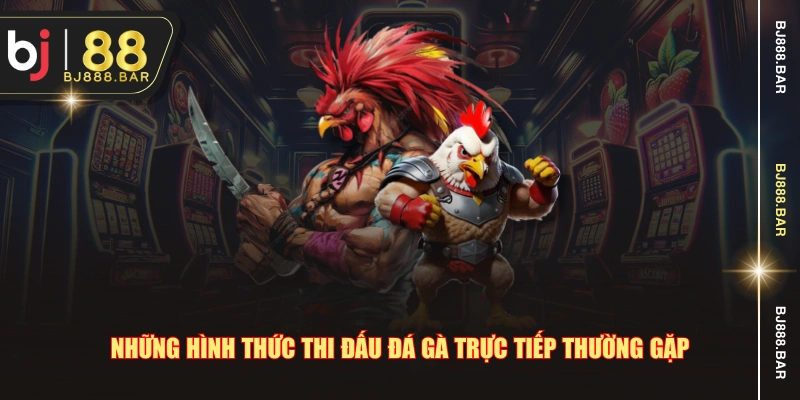 Những hình thức thi đấu đá gà trực tiếp thường gặp