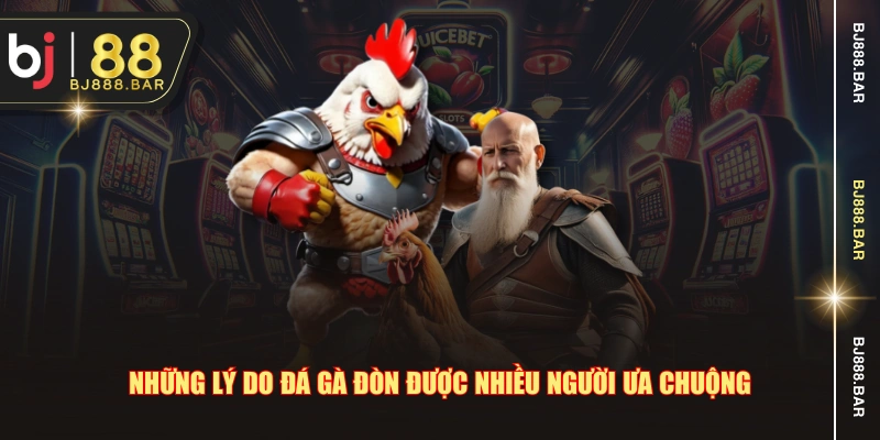 Những lý do đá gà đòn được nhiều người ưa chuộng