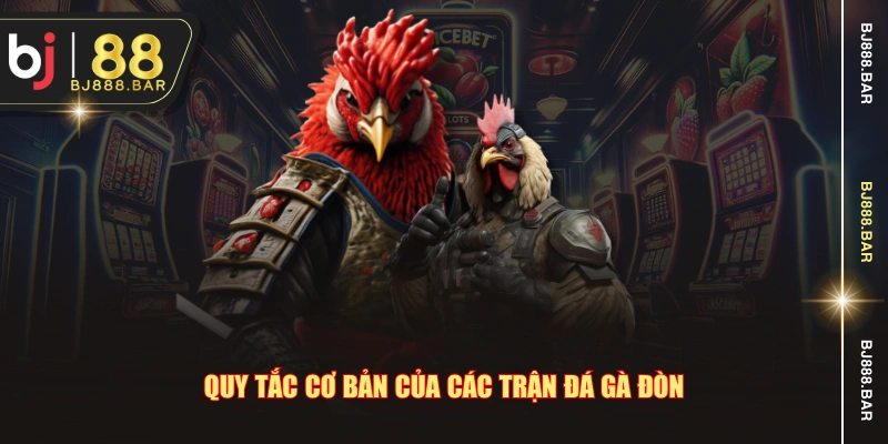 Quy tắc cơ bản của các trận đá gà đòn