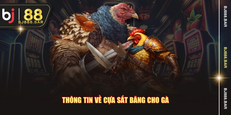 Thông tin về cựa sắt băng cho gà